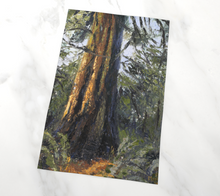 Load image into Gallery viewer, Ancient Cedar - Tea Towel