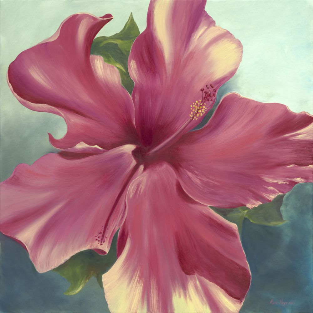 Pink Hibiscus, Original Oil on Canvas
