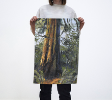 Load image into Gallery viewer, Ancient Cedar - Tea Towel
