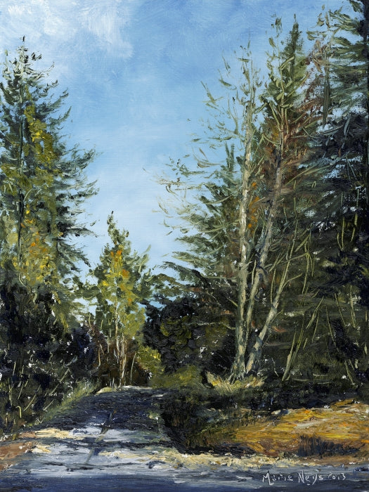 Adams Road, Bowen Island, BC, Fine Art Canvas Print