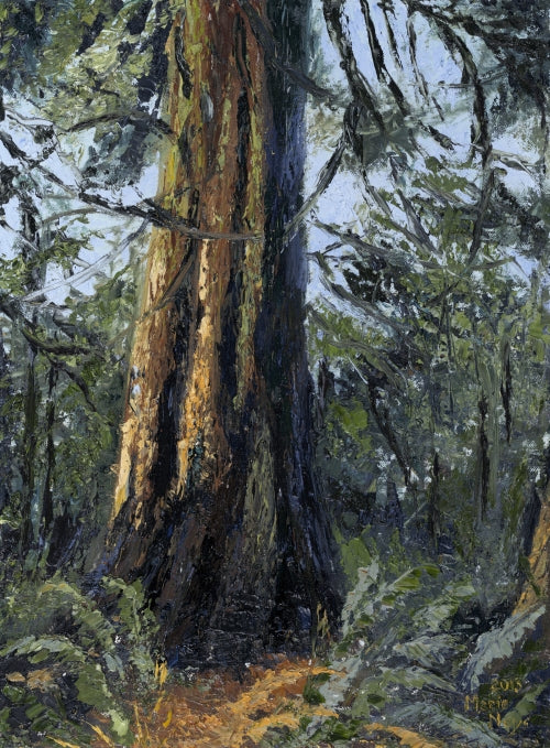 Ancient Cedar, Bowen Island, Original Oil on Canvas