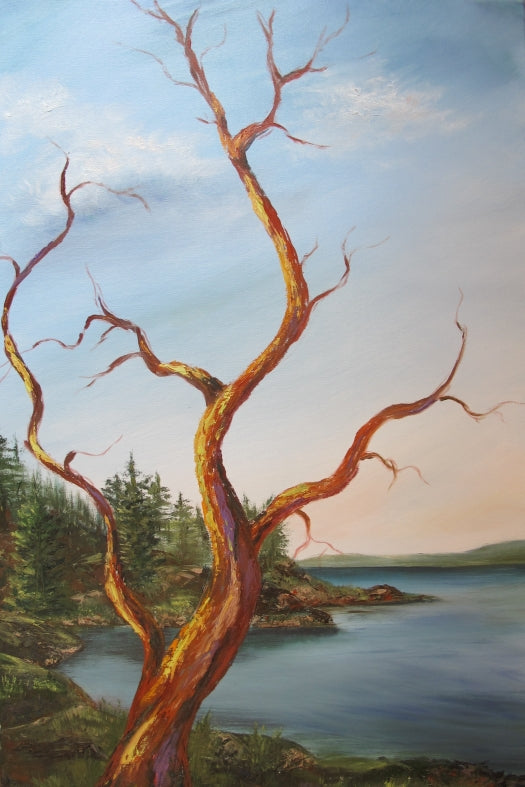 Arbutus on Fairweather, Bowen Island, BC, Fine Art Canvas Print