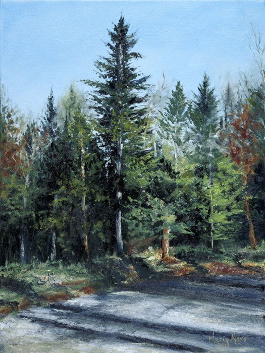 Out Our Drive, Bowen Island, British Columbia, Fine Art Canvas Print